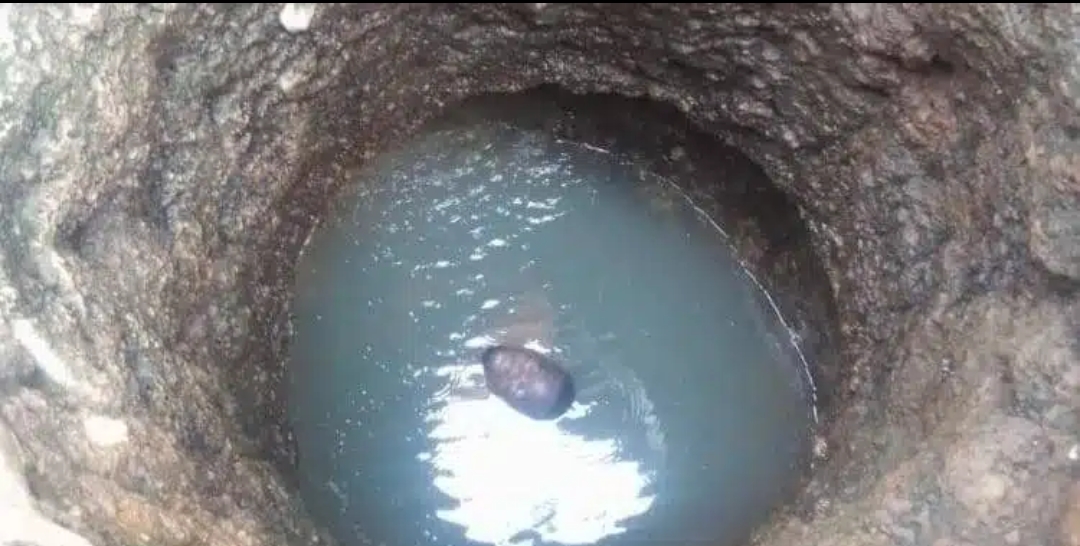 Screenshot_20250608-070543