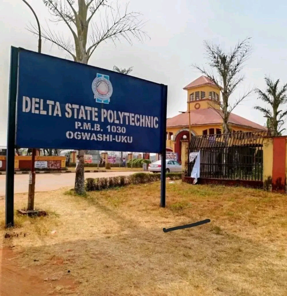 FB_IMG_17611340020726882