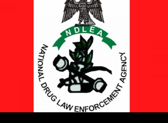 Screenshot_20260213-124706