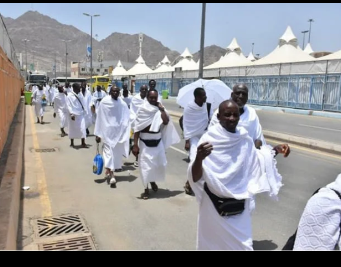 Screenshot_20260216-141555