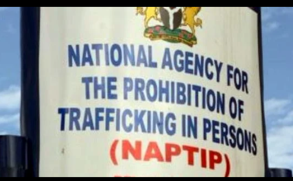 Screenshot_20260224-102712