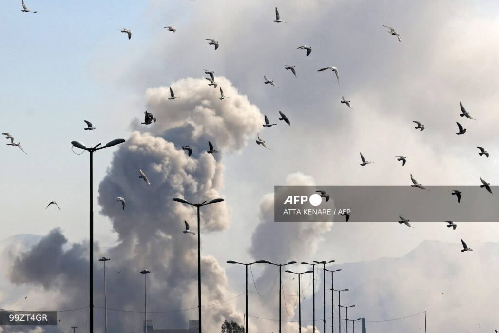 75FC85D1-8008-4A43-B98F-464F1D8B9B3E